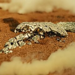 Protected: Broken Wings