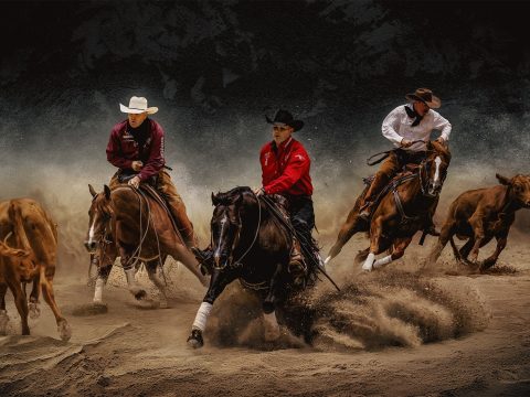 Riders in the Dust