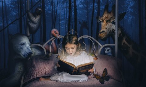 The Little Girl’s Book of Imagination