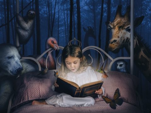 The Little Girl’s Book of Imagination