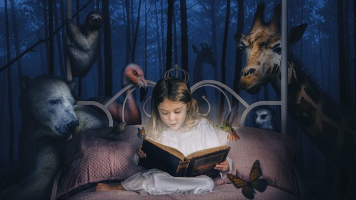 The Little Girl’s Book of Imagination